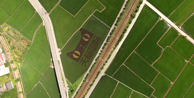 天猫图案映入花莲稻田 天猫图案映入花莲稻田