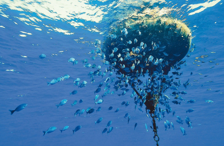 ̨�庣Ѳ��Ա����̫ƽ�������ߺ� ���Ѹ�̾�������ƻ�