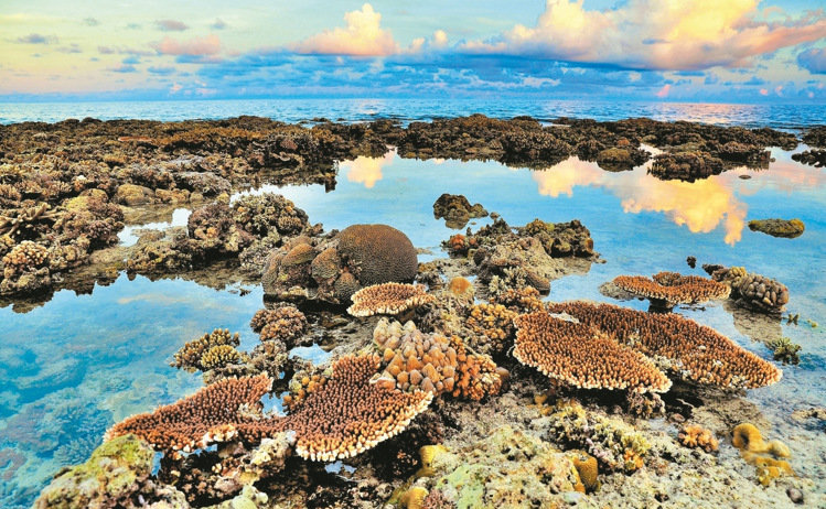 ̨�庣Ѳ��Ա����̫ƽ�������ߺ� ���Ѹ�̾�������ƻ�