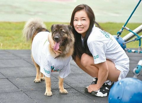 台湾选战拼创意:参选人文宣出奇招比谁“吸睛”