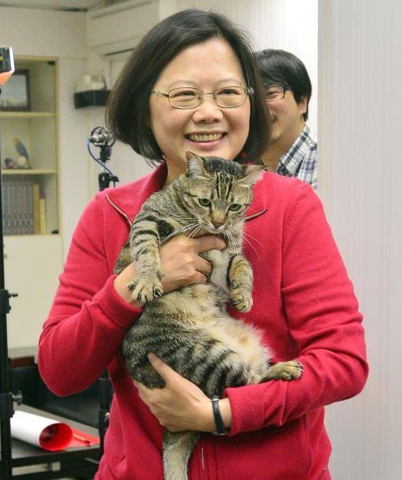 蔡英文资料照 蔡英文资料照