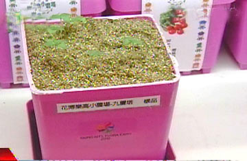 花博商店里的纪念品广受民众喜爱。图片来源:台湾TVBS电视台