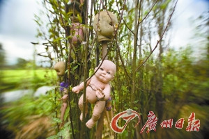 ȫ��ʮ��㤵ص���������ũ������ѡ��ͼ��