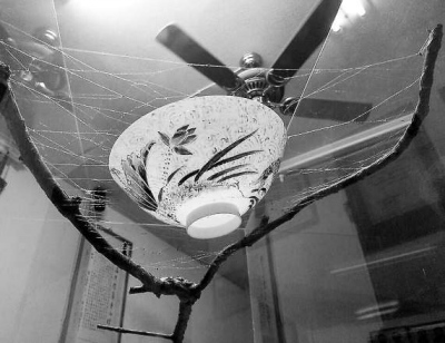 ̨մɵĴ棺ȵǻҪı̥մ