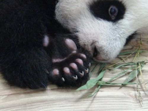 ��Բ�С����۽��Ʊ����·Խ��Խ�죨ͼ��