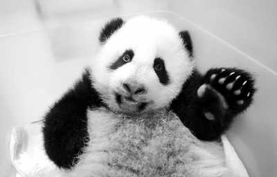 �ˣ����ǡ�Բ�С�����ͼ��