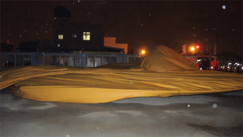 桃园黄色小鸭又变鸭皮能否下水仍未知(图)