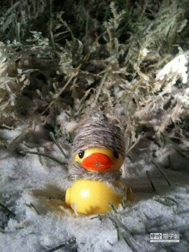 ̨���ײ���������������̽��ɽƮѩ��ͼ��