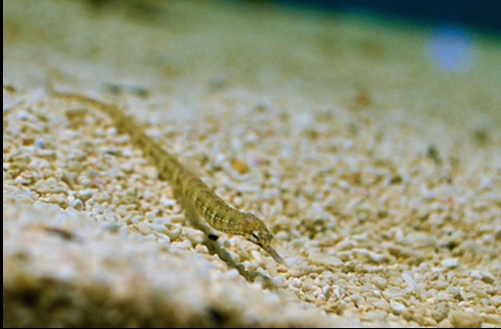 ̨�庣���������������׺������α�ֱ����ע��ͼ��