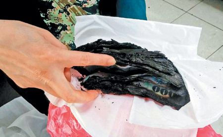 10���ֳ����ս�̨�������漣ƴ��99000Ԫ��ͼ��