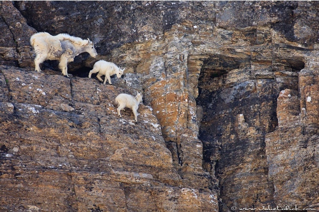 ���ͱڶ�ɽ����˵�������ǡ�С��һ����