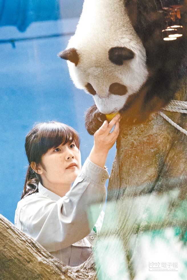 ��è����Բ�н������� �����ѳ���