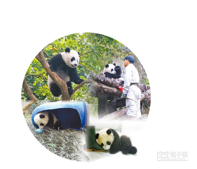 ��è����Բ�н������� �����ѳ���