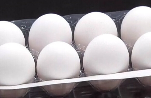 台湾高温热死鸡,蛋价飙升,茶叶蛋真成贵重品。(台媒图) 台湾高温热死鸡,蛋价飙升,茶叶蛋真成贵重品。(台媒图)