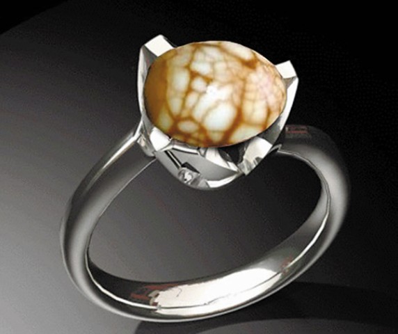 网友恶搞茶叶蛋炫富图。(网络图) 网友恶搞茶叶蛋炫富图。(网络图)