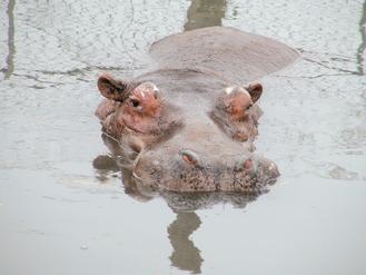 ̨��ˤ�����������Ͷ���԰ ���Ѱ���:��ɫ��һ(ͼ)