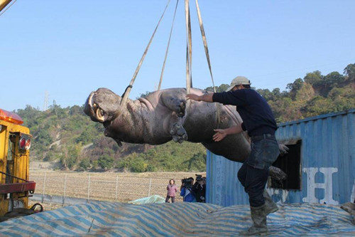 ̨�����˺������� ҵ���ɴ�1����������ͽ��(ͼ)