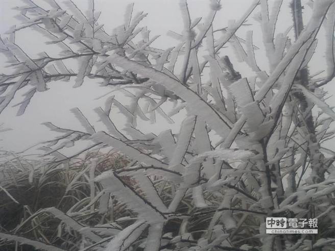 ̫ƽɽ�����峿���½����һ����ѩ����֦��Ҳ������������̨ýͼ��