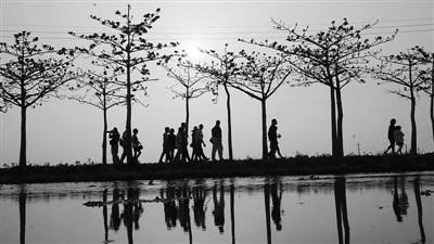 ̨�� �����������