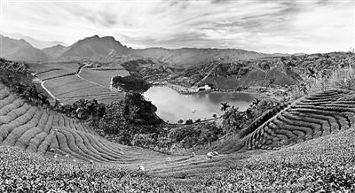 ̨��ɼ��Ϫ��԰���