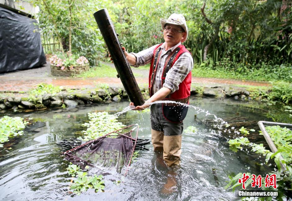 探访台湾花莲马太鞍湿地的阿美人家