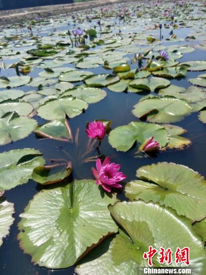 ̨�塰��ũ�����������޹ŵĴ�½������