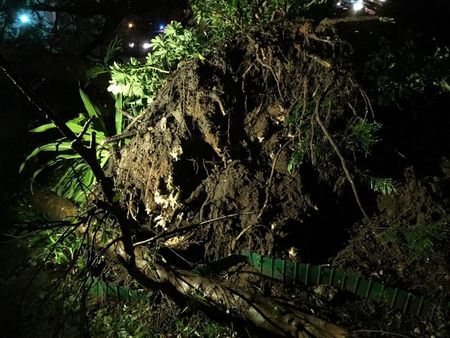 ������ѧ����������Ůѧ�������㲻������Ť��