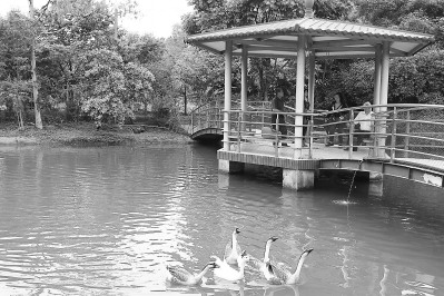 台湾东山里社区:从垃圾成山到鸟语花香(图)