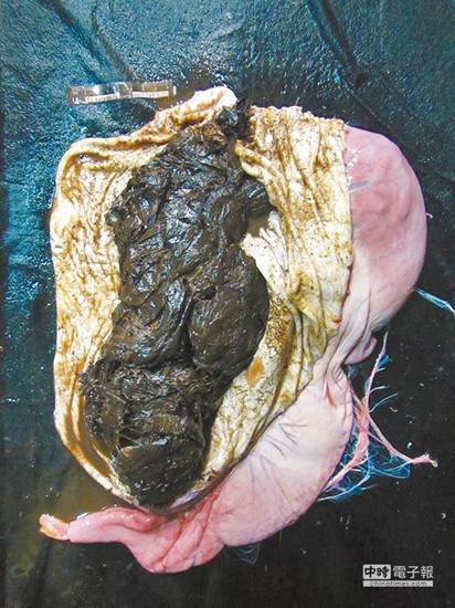 �׾���ǳ���� 10������������θ(ͼ)