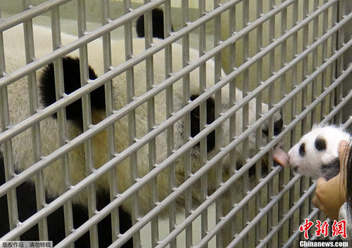 Բ��2���� ������̨����è��5����֪ʶ(ͼ)