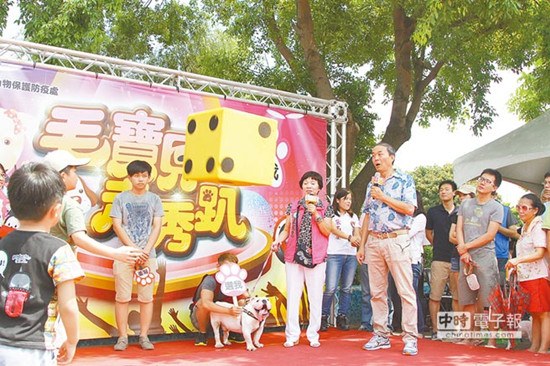 新北举办猫狗走秀如“星光大道”民众抢着认养