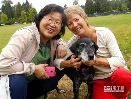 ̨�尩ĩ���˹������ô�����������ܰ¡�أ�ͼ��