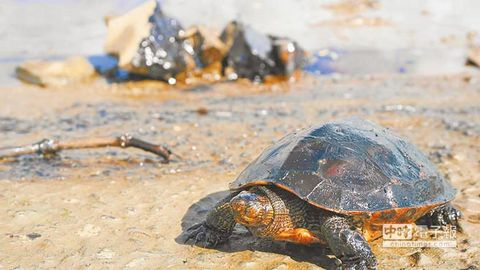 ̨�����͡��͹�������Ⱦ��¡����Աʹ��������