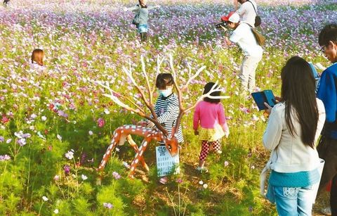 长颈鹿矗立花海中怕被游客坐坏“长刺”自保(图)