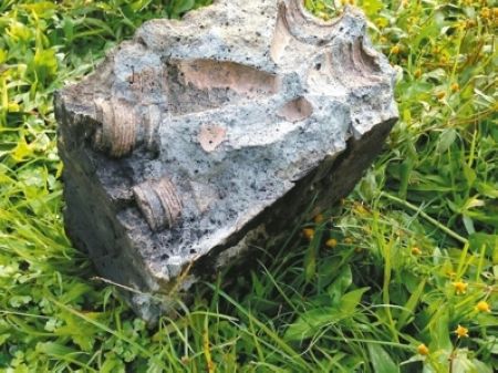 师生农场捡石搭炉烤肉石块中藏弹药头遇火爆炸