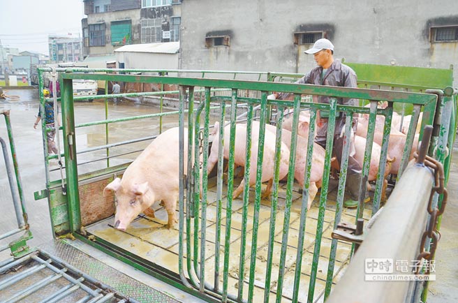 Ӣµֶ̬ɶũԲųϽͷͼƬԴ̨塶йʱ