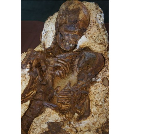 ̨�г�����������໯ʯ ĸ��Ӥ����������5000��