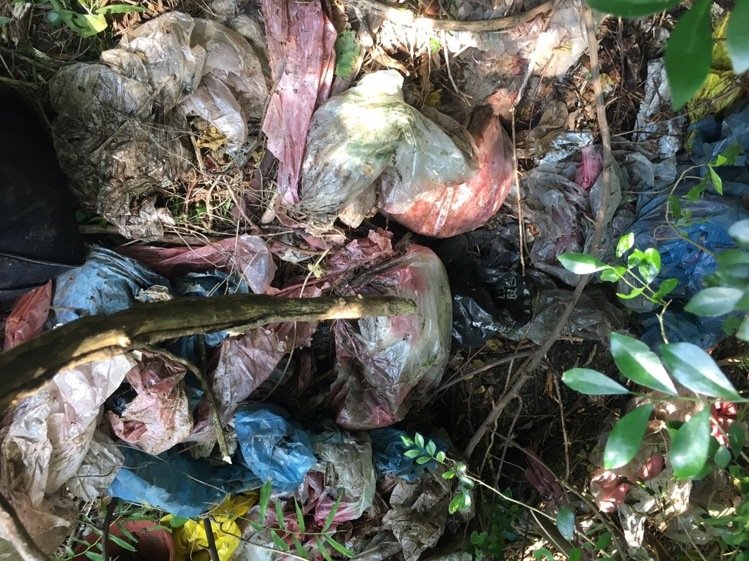 盗领案剩余赃款寻获 两千万现金竟被嫌犯藏在垃圾堆 盗领案剩余赃款寻获 两千万现金竟被嫌犯藏在垃圾堆