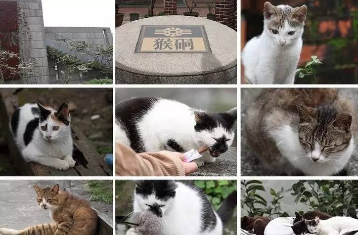 ̨����ɴ�����ʮ������������·