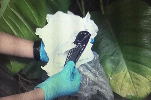 台海军退役上士嫖娼,因价钱未谈妥行凶杀人 台海军退役上士嫖娼,因价钱未谈妥行凶杀人