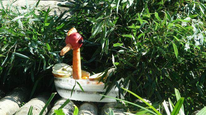 “圆仔”新年特餐的素材有苹果、胡萝卜、葡萄、窝窝头及竹叶等 “圆仔”新年特餐的素材有苹果、胡萝卜、葡萄、窝窝头及竹叶等