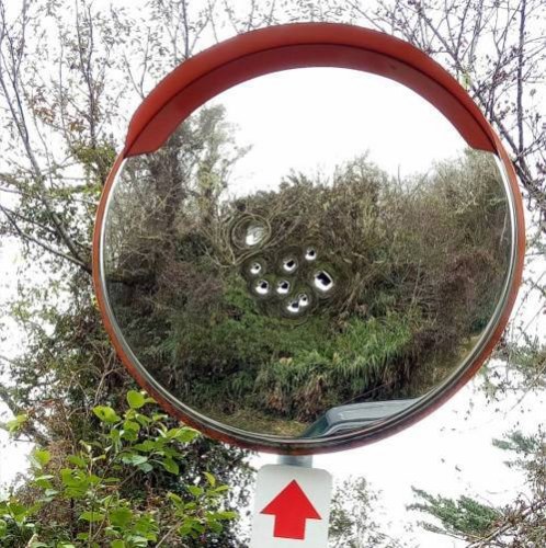 ̨20���Ϻṫ·���پ��淴���b���ܼ��ĵ��ף�������Ŀ���ġ�̨�塶���ϱ��������ȴϹ⣯��Ӱ