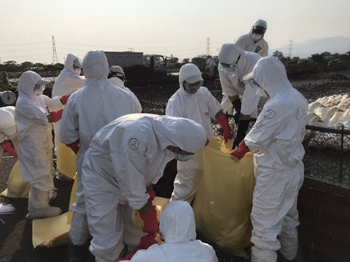 宜兰县三星乡又有一处樱桃鸭场传出禽流感H5N2确诊,今早扑杀约5000只肉鸭。