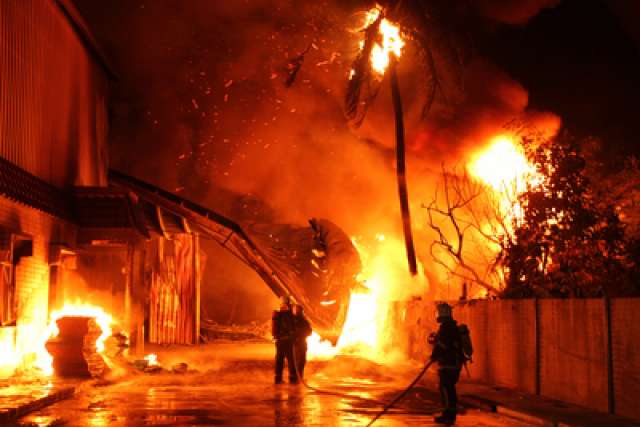 ̨��һ���޹������ �������� ��������