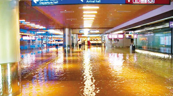 ��԰�������������ͬһ�챻ˮ�� ���ѣ�̫���ˣ�