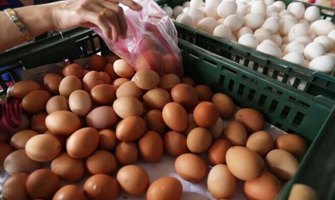 芬普尼毒蛋防堵失灵 国民党轰蔡英文一句关心