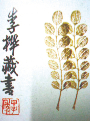   ����Ʊ ������