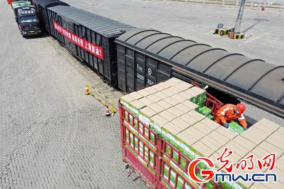 【组图】“守沪者联盟”丨山东烟台:公路转铁路 100吨苹果驰援上海