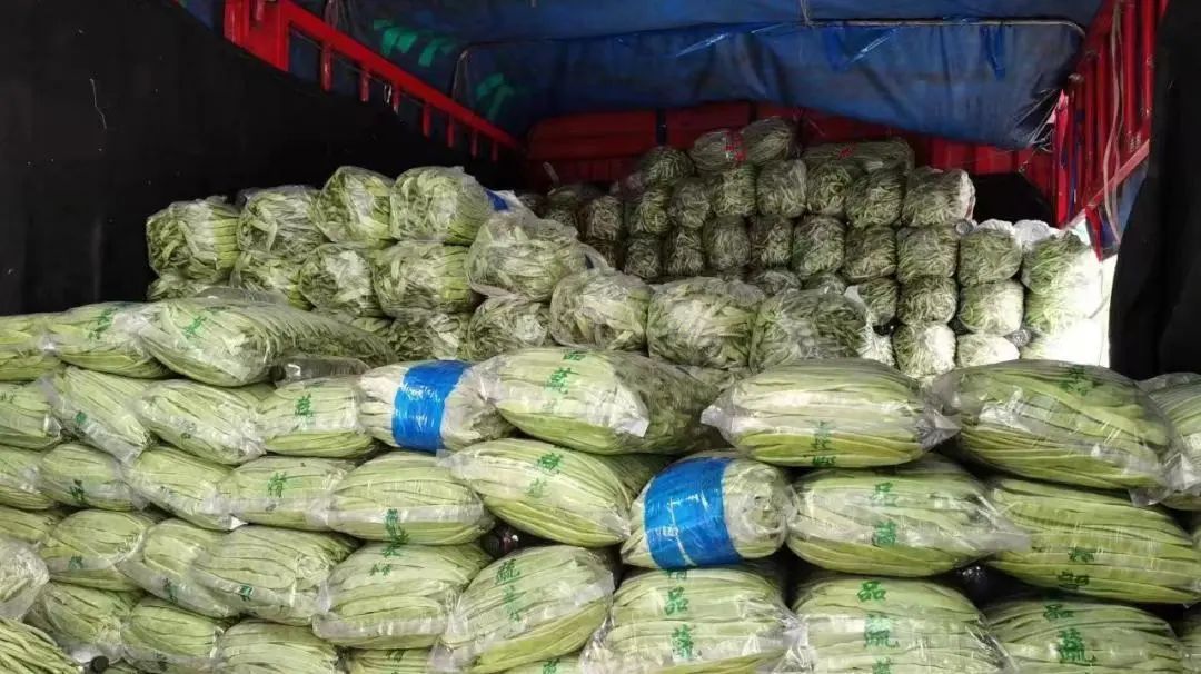 岳各庄临时休市,新发地增大上市量,首都“菜篮子”供应充足