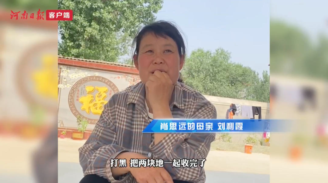 肖思远父母为啥偷偷收麦子?真相是……